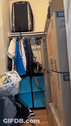 Closet With Boxes And Suitcase Saying MI GIF