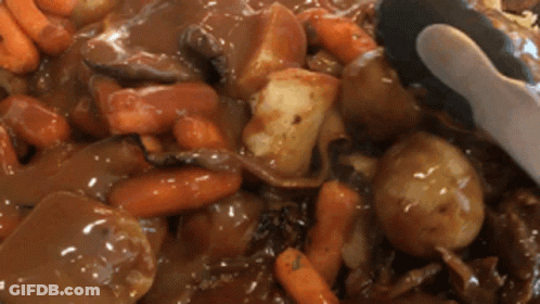 Closeup Of Stew With Carrots And Potatoes GIF