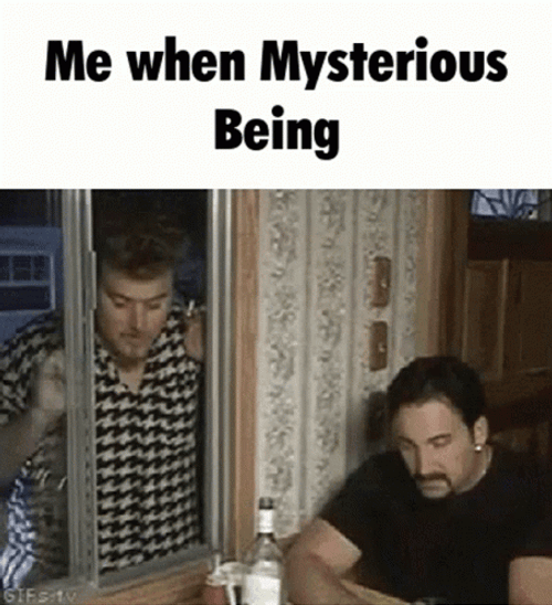 Closing Blinds Being Mysterious GIF