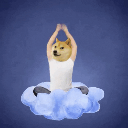 Cloud Dog Rainbow No One Cares Meme GIF