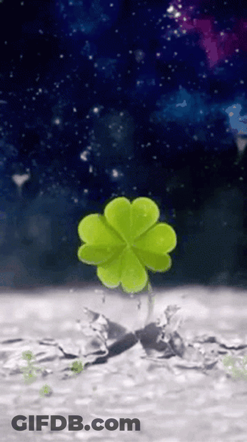 Clover Leaf On Icy Space GIF