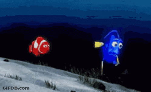 Clown Fish And Blue Fish GIF