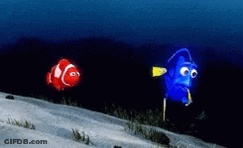 Clown Fish And Blue Fish Swimming GIF