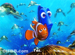 Clown Fish And Blue Fish Swimming Saying Yes GIF