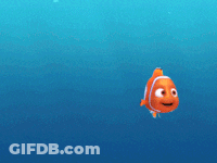 Clown Fish Swimming Alone In Ocean GIF