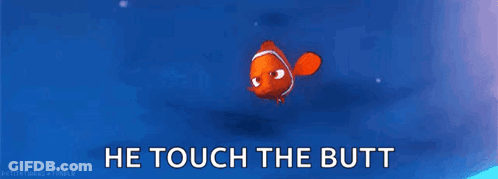 Clown Fish Swimming Alone In Ocean GIF