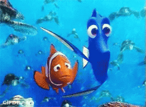 Clown Fish Swimming Beside Blue Fish GIF