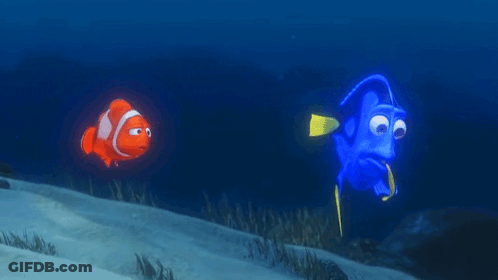 Clown Fish Swimming Next To Blue Fish GIF