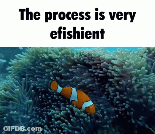Clown Fish Swimming With Process Is Very Efficient GIF