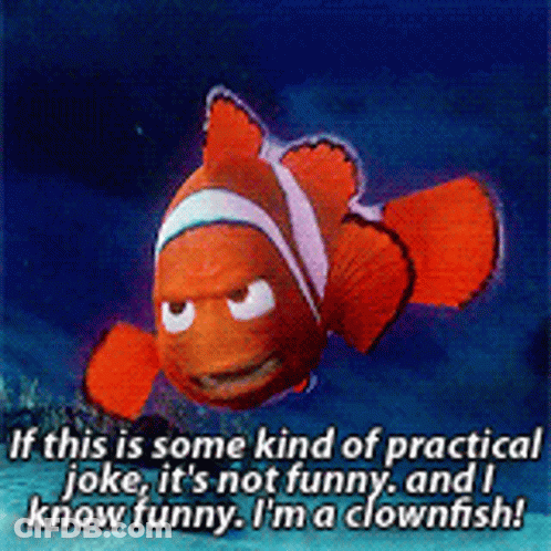 Clown Fish With Practical Joke Caption GIF