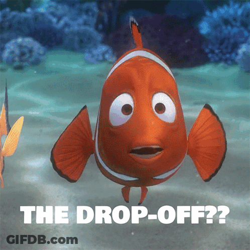Clown Fish With The Drop-Off GIF