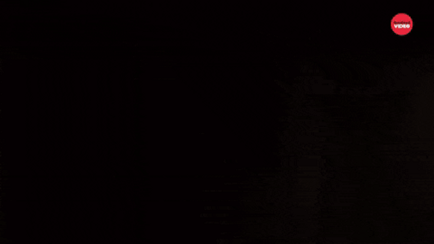 Clown Man Open The Noor Meme GIF
