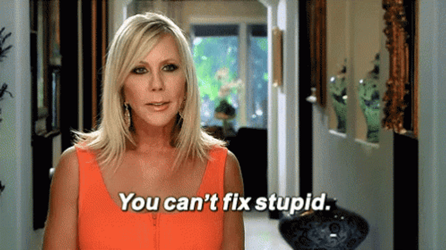 Clown Shoes You Can't Fix Stupid GIF