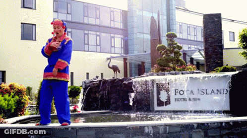 Clown Waterfall Fota Island Sign GIF