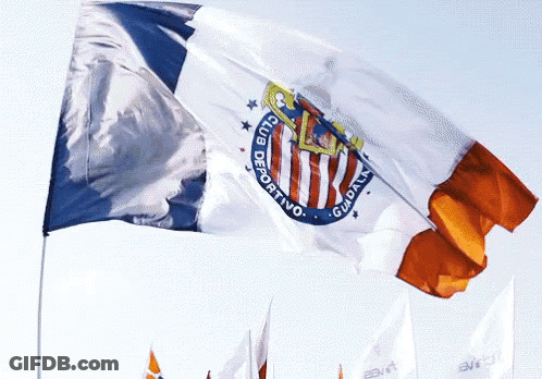 Club Deportivo Flag GIF
