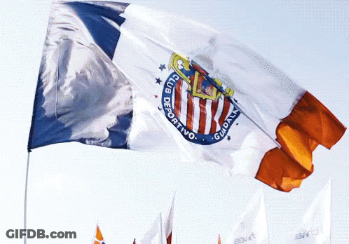 Club Deportivo Flag GIF