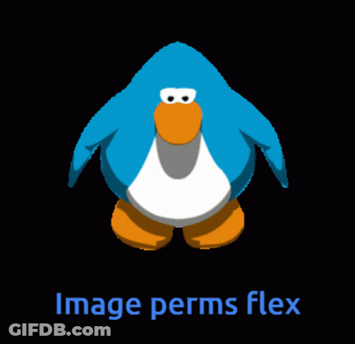 Club Penguin Dance Image Perms Flex GIF