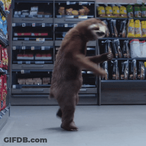 Clubbing Sloth Convenience Store GIF