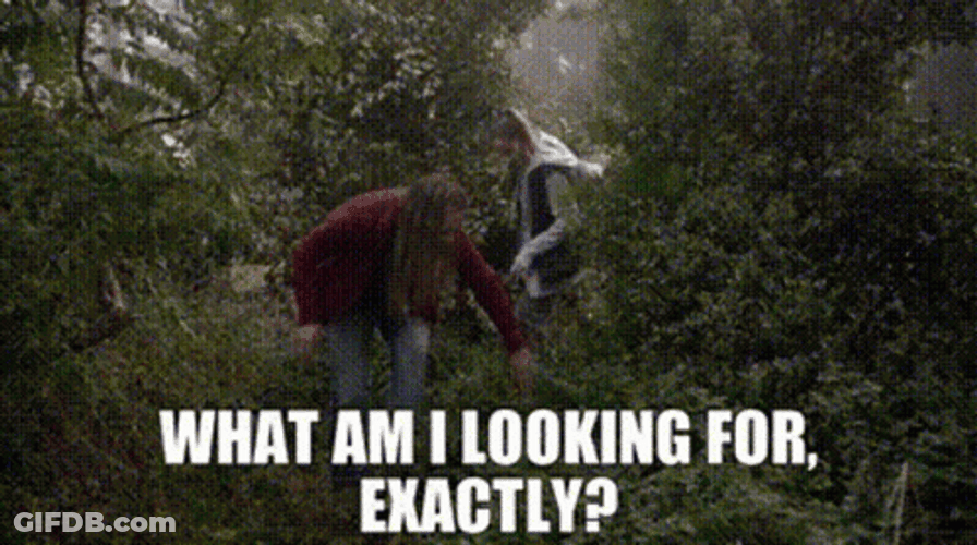 Clueless Ladies Searching In Forest GIF