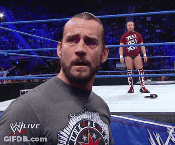 CM Punk And Daniel Bryan GIF
