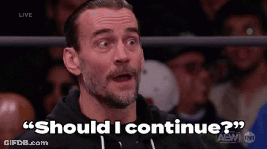 CM Punk Should I Continue GIF