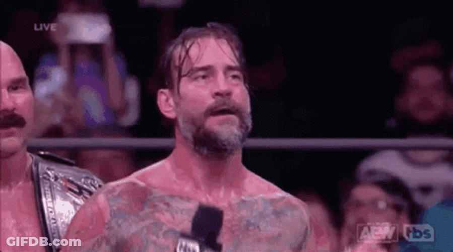 CM Punk The Champ GIF