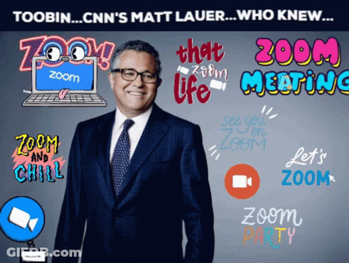 Cnn 'S Matt Lauer Who Knew Zoom Meeting GIF