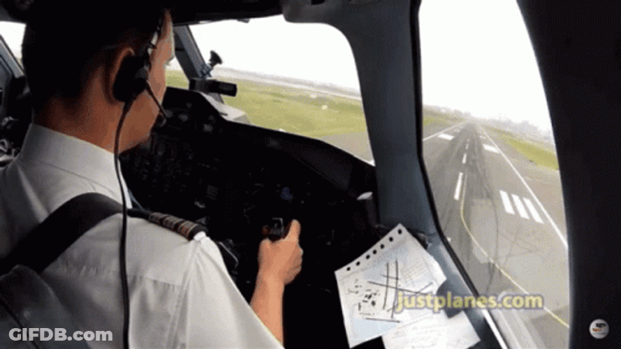 Co-Pilot Is Okay Has Landed GIF