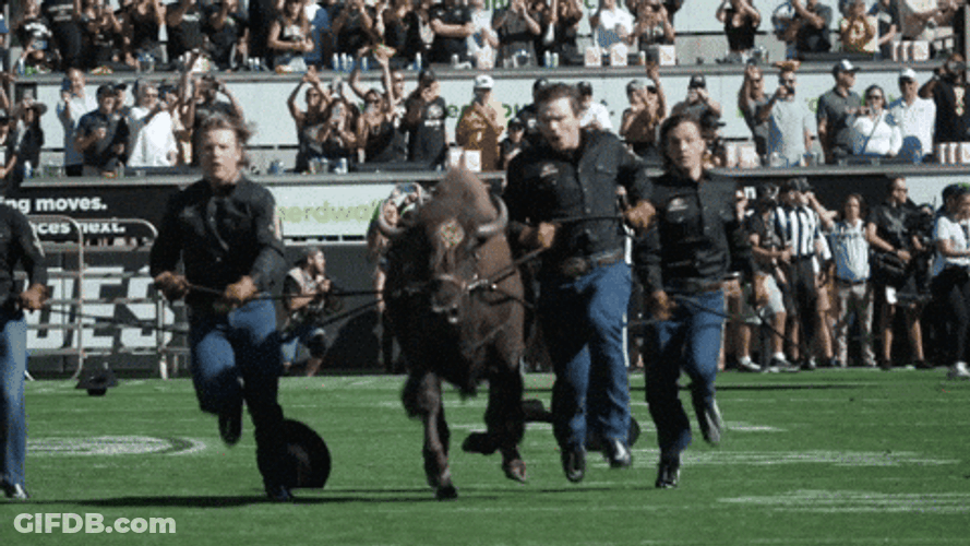 Coach Prime Bull Running GIF