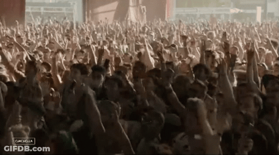 Coachella Energetic Crowd Cheering GIF