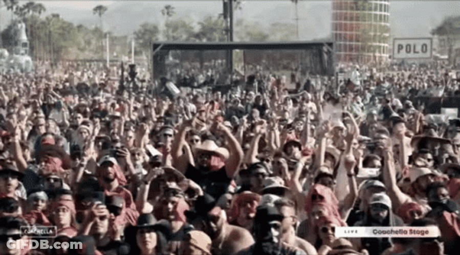 Coachella Stage Crowd Cheering GIF