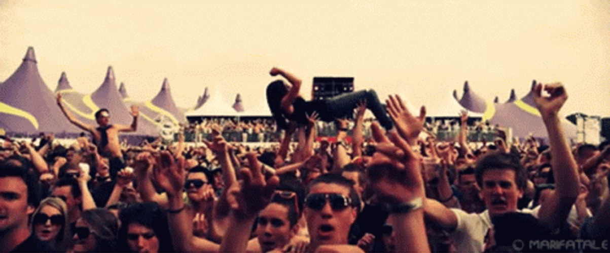 Coachella Valley Music And Art Concert GIF