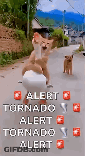 Coal Alert On Dark Background GIF