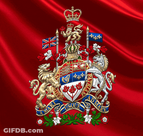 Coat Of Arms With Crown And Lion Saying Mary GIF