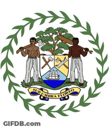 Coat Of Arms With Men Tree And Subumbra Floreo GIF