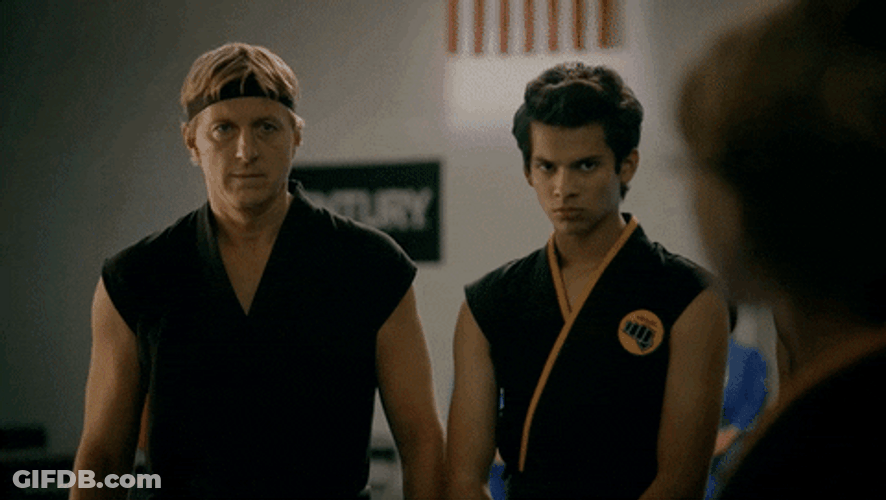 Cobra Kai Game You Got This GIF