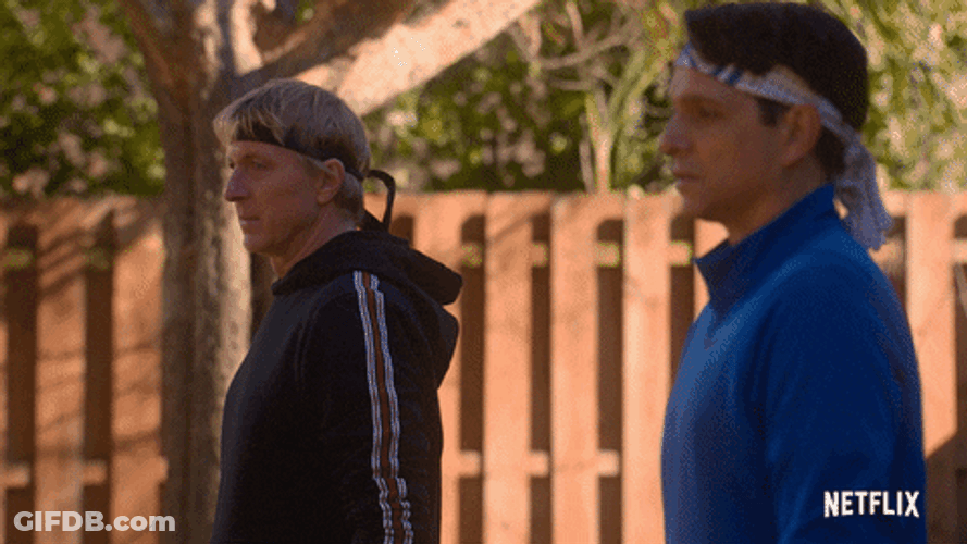 Cobra Kai Johnny Daniel What GIF