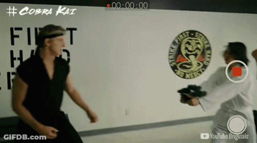 Cobra Kai Johnny Dirt Kick GIF