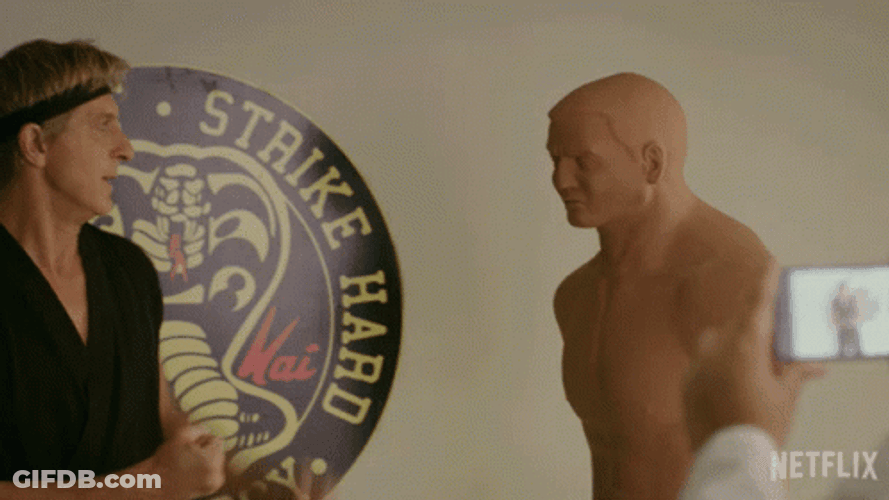 Cobra Kai Johnny Dummy Demo GIF