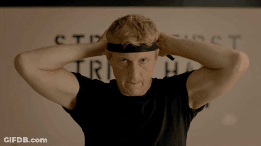 Cobra Kai Johnny Karate Sensei GIF