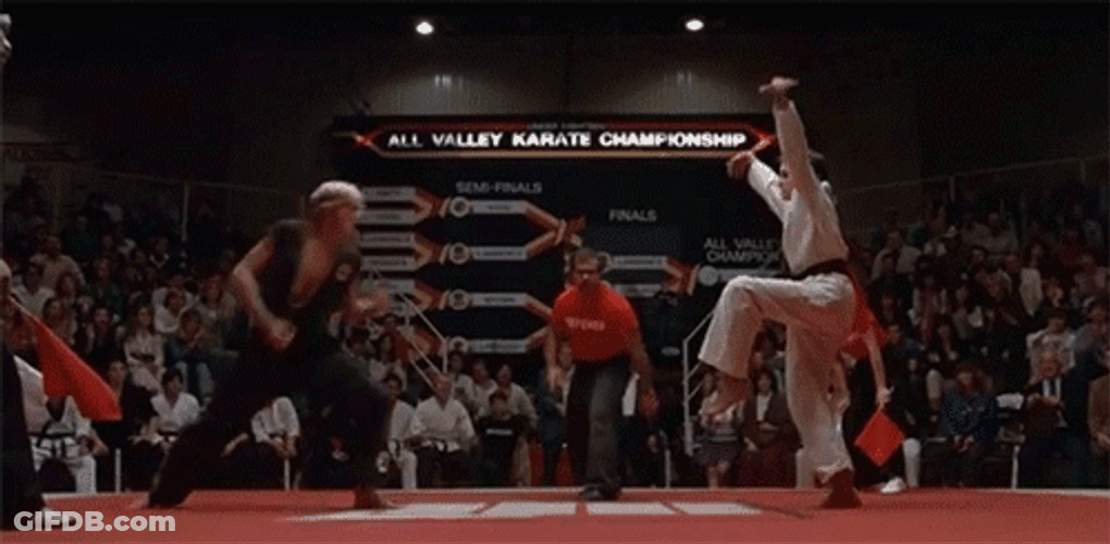 Cobra Kai Johnny Vs Crane Kick GIF