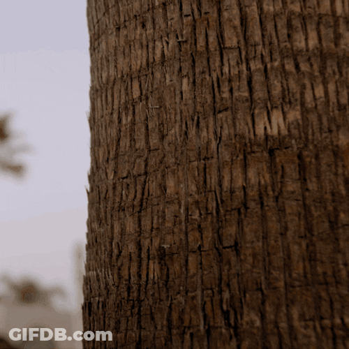 Cobra Kai Learn To Fight Flyer GIF