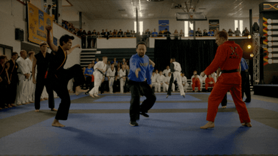Cobra Kai Miguel Crane Kick GIF