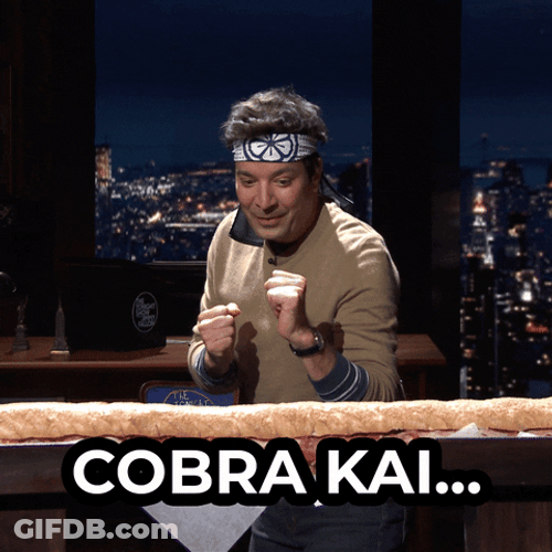 Cobra Kai Never Die Jimmy Fallon GIF