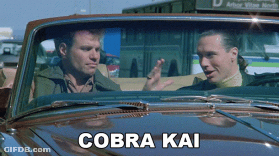Cobra Kai Never Dies Karate Kid GIF
