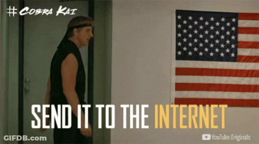 Cobra Kai Send It To The Internet GIF