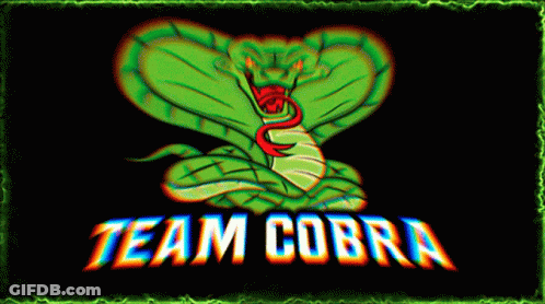 Cobrateam Polska GIF
