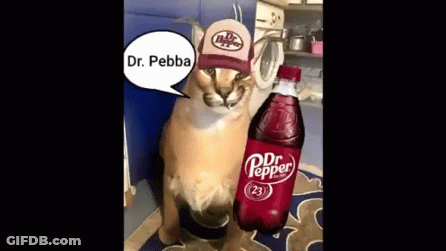 Coca Cola Animals With Their Favorites GIF