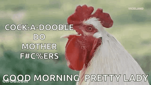 Cock A Doodle Do Chicken GIF