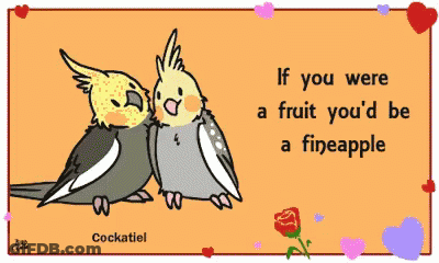 Cockatiel Sitting Next To Another Bird GIF